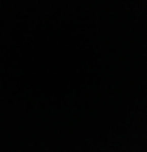 Meet your Posher, Raymundo